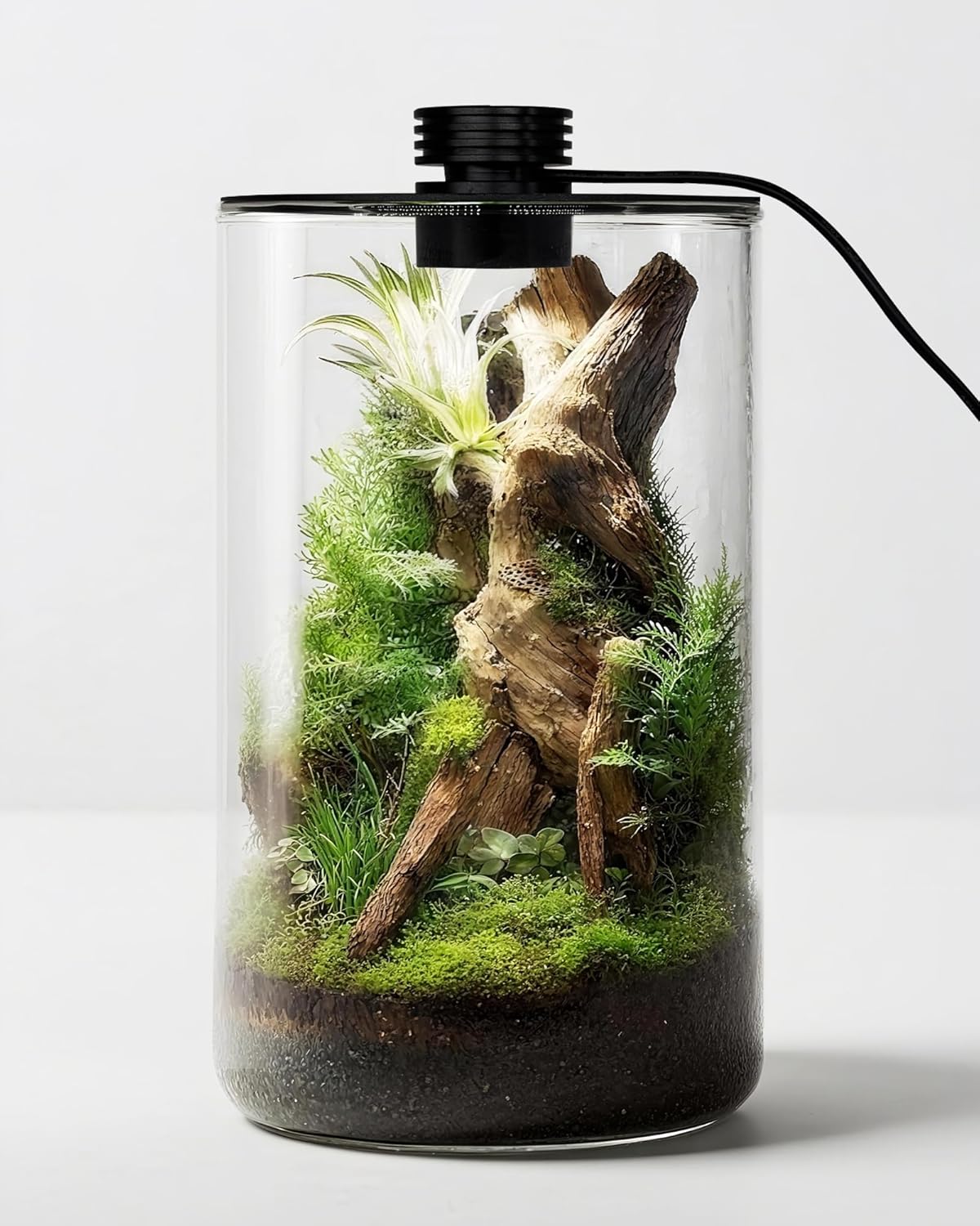 Office Lighting Decor - 실내 유리 테라리움(조명 포함), 9.8인치 높이