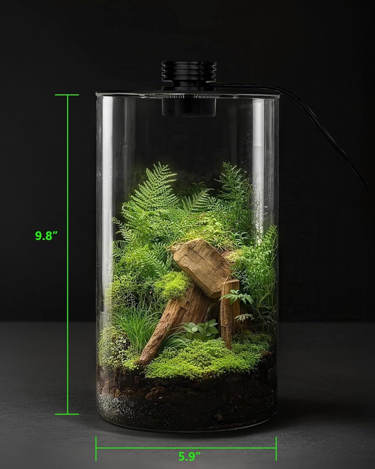 실내 유리 테라리움(조명 포함), 9.8인치 높이 ×  - Office Lighting Decor 리뷰 및 가격