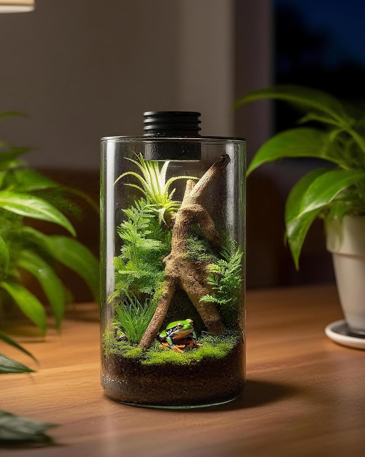 실내 유리 테라리움(조명 포함), 9.8인치 높이 ×  - Office Lighting Decor 리뷰 및 가격